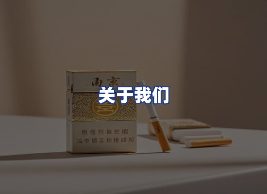 专业团队